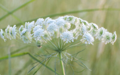 Stretch je loopbaan met Plan C!    